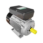 Pojedinačni izmjenični motor